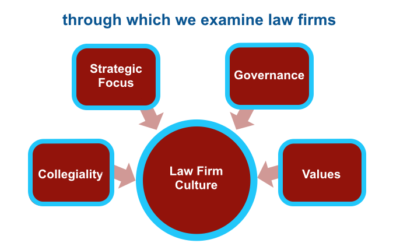 The Cultural Lenses through which We Examine Law Firms