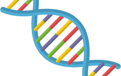 Do You Understand your Firm’s DNA? What Are the Good and the Bad Bits?