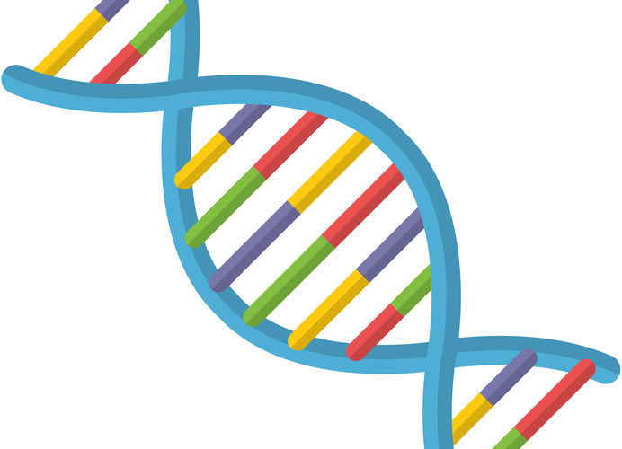 Do You Understand your Firm’s DNA?  What Are the Good and the Bad Bits?